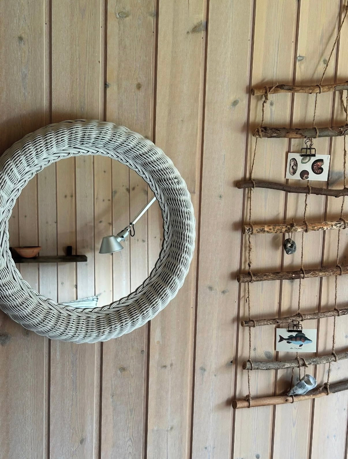 Spejl